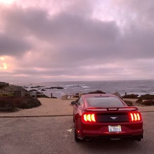 Meet your Posher, Ruby may